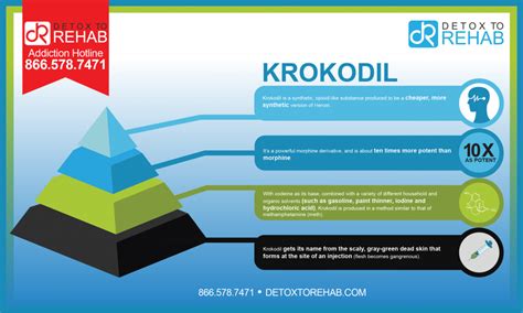 Krokodil Infographic - Detox To Rehab