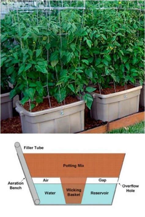 15 DIY Self Watering Planters That Make Container Gardening Easy - DIY & Crafts … | Self ...