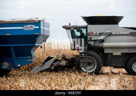 GLEANER S77 COMBINE HARVESTING CORN BLOOMING PRAIRIE, MINNESOTA Stock Photo - Alamy