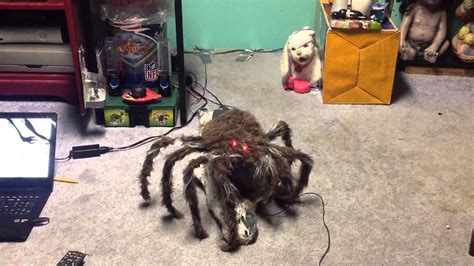 Spirit Halloween 2013 Tekky Toys Brown Jumping Spider - YouTube