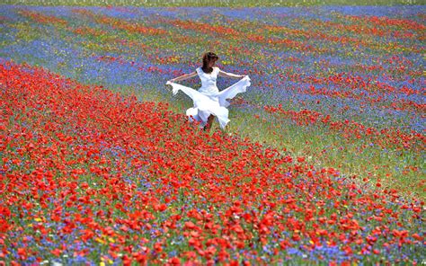 Colors Bloom Across the Great Plain of Castelluccio, Italy - The Atlantic