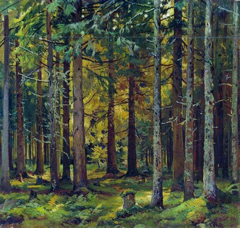 Fir forest - Ivan Shishkin - WikiArt.org