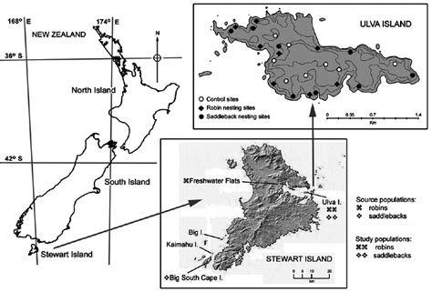 Maps of New Zealand, Stewart Island, and Ulva Island. Map of Stewart ...