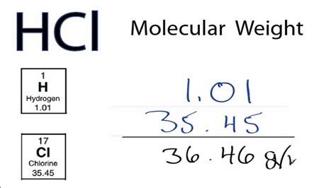 HCl Molecular Weight: How to find the Molar Mass of HCl - YouTube