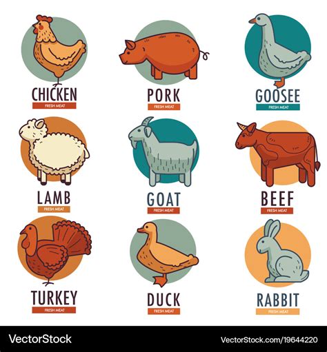 Meat and poultry flat animal birds Royalty Free Vector Image