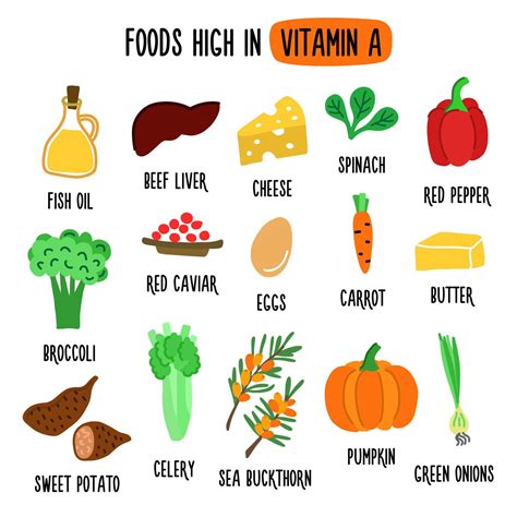 Foods High in vitamin A. Vector illustration with healthy foods rich in vitamin a. Organic Food ...