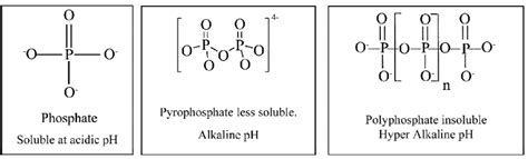 Molecular form of phosphate ion due to potential changes of pH ...