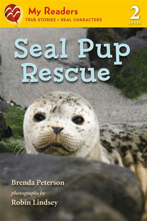 Seal Pup Rescue