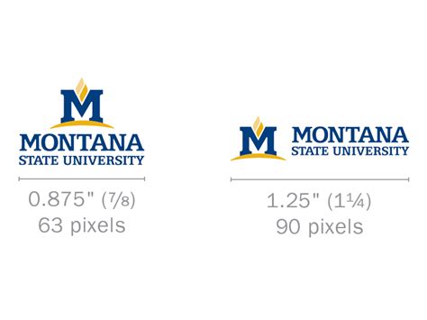 Logo use guide - Marketing | Montana State University