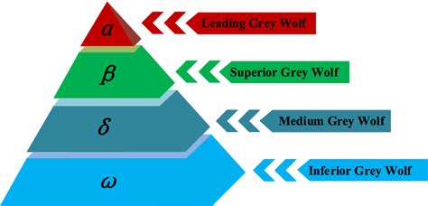 The social hierarchy of wolf wolves [55] | Download Scientific Diagram