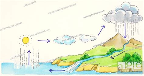 Diagram Water Cycle Runoff