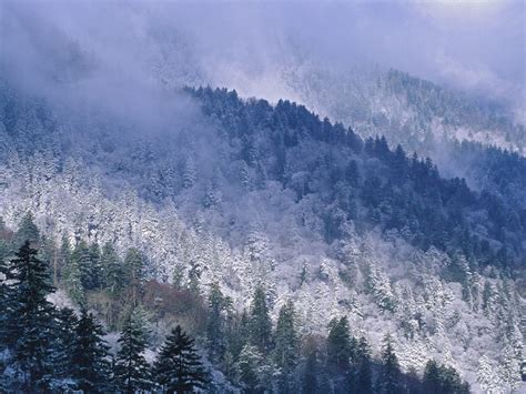 1600x1200 Great smoky mountains, Tennessee, Mountains, Trees, Coniferous, Winter, Snow, Height ...