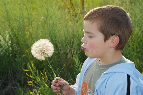 Childs wish stock photo. Image of child, morning, holds - 9599840