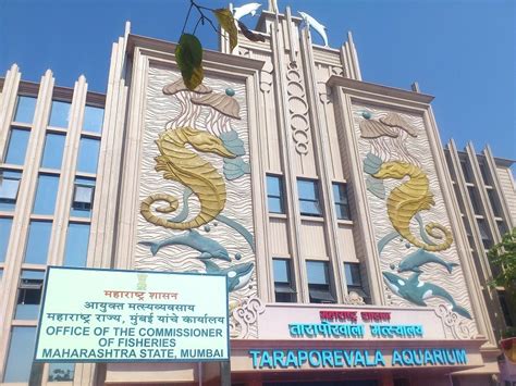 Taraporewala Aquarium, Mumbai - Timings, Best time to Visit