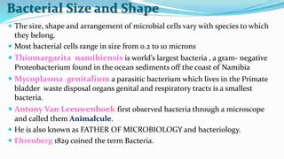 Presentation1 nidhi copy - copy | PPT