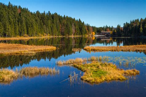 Die Top 10 der schönsten Nationalparks in Deutschland