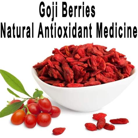 Goji Berries as a Potential Natural Antioxidant Medicine | Goji berries benefits, Natural ...