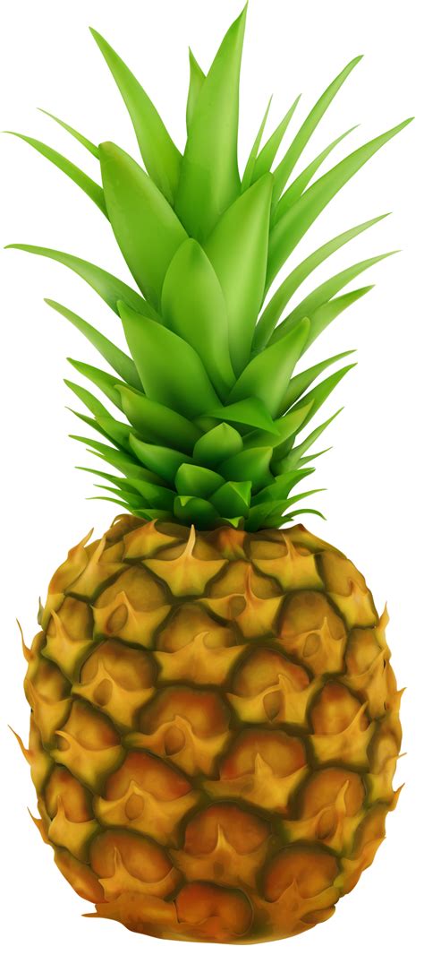 pineapple transparent clip art image - WikiClipArt