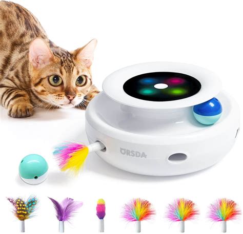 The Best 6 Interactive Cat Toys to Keep Your Kitty Busy - Veterinarians.org