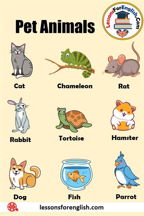 100 Pet Animals Names, Definition and Example Sentences Pet Animals Name Throughout time animals ...