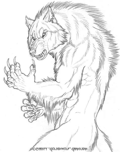 See These? by Goldenwolf on DeviantArt | Werewolf drawing, Werewolf art, Werewolf