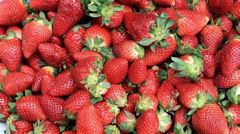 strawberry, berry, ripe, 4k HD Wallpaper