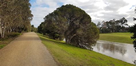 Dandenong Creek Trail - Dandenong Creek Trail, Dandenong South VIC 3175 ...