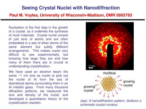 PPT - nucleus PowerPoint Presentation, free download - ID:3667865