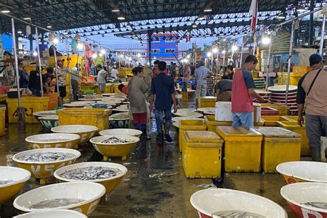 Foto : Belanja di Pasar Ikan Muara Angke, Pembeli: Seru, Ikannya Segar dan Murah...