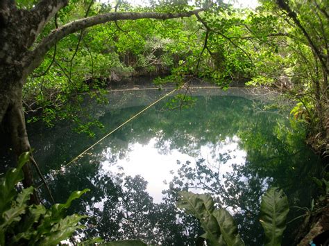 Miracle of Nature: Cenote Angelita - Underwater River in Mexico - YourAmazingPlaces.com