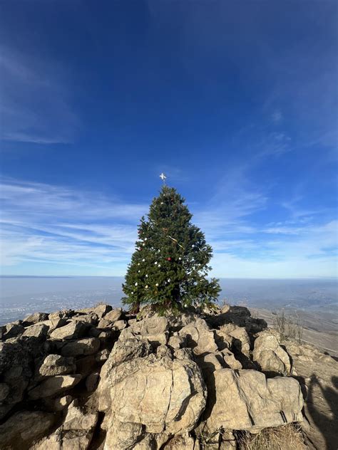 Mission peak Christmas tree is up! Biggest one in a while. : r/SanJose