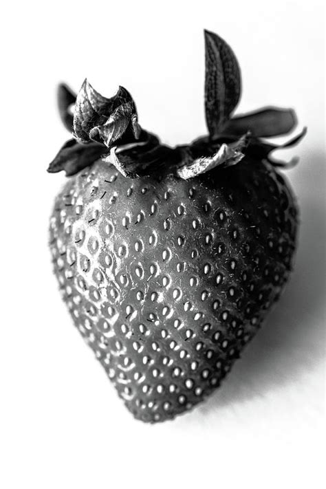 Strawberry in Black and White Photograph by Jason Champaigne