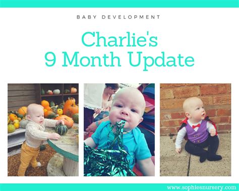 Baby Development at 9 Months Old: Charlie's Monthly Update - Sophie's ...