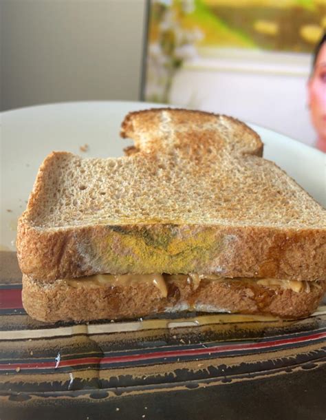 Toasted a peanut butter and honey sandwich for my pre-gym run. Took a bite on my way out before ...