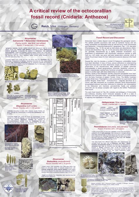 (PDF) A critical review of the octocorallian fossil record (Cnidaria: Anthozoa)