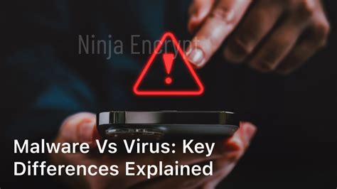 Malware vs Virus: Key Differences Explained