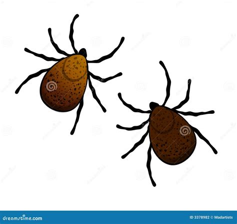 Lyme Disease, Tick, Bulls-eye Rash Vector Illustration | CartoonDealer ...