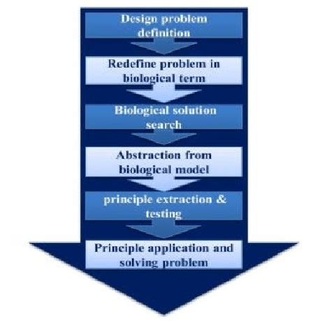 Top-Down Design Approach | Download Scientific Diagram