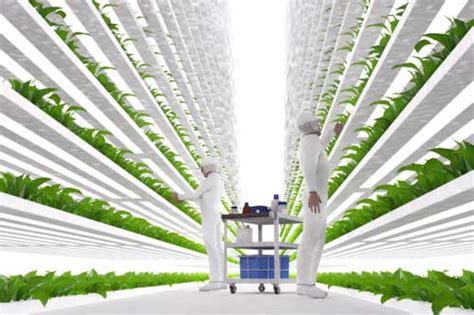 Kimbal Musk Argues Hydroponic Vertical Farming as Future for Ag | AndNowUKnow