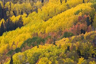 Fall Foliage from Empire Pass | Fall colors from Empire Pass… | Flickr