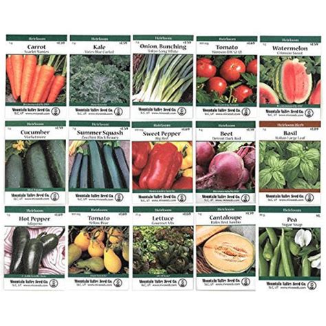 Heirloom Vegetable Garden Seed Collection – Assortment of 15 Non-GMO, – Dollar Castle