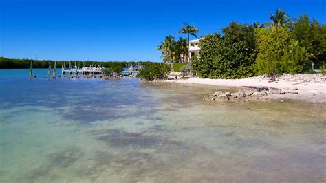 Sombrero Beach in Marathon, Florida | Expedia