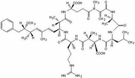 Microcystin-LR, Microcystis aeruginosa