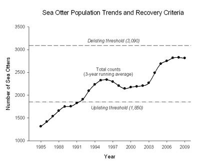 Sea Otter Decline: Perhaps Pollution and Overfishing | JournOwl