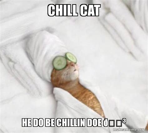 Chill cat He do be chillin doe ðŸ˜³ - Pampered Cat Meme | Make a Meme