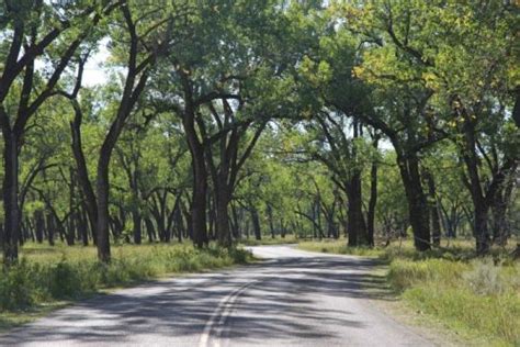 Theodore Roosevelt National Park Camping Guide | Park Ranger John