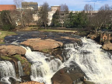 Good Things: Greenville, SC & Dog-Friendly Cities - Not So Mommy...™