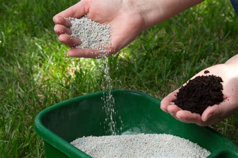 Compost vs. Fertilizer: Which is Best for My Yard & Garden? - shelf