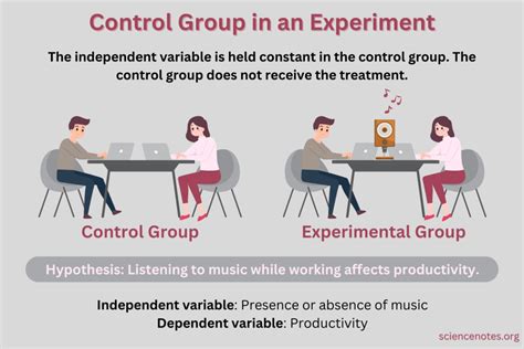 Control Group Definition and Examples