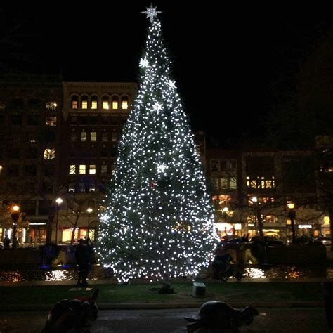 The Best Christmas Trees and Displays to See in Boston